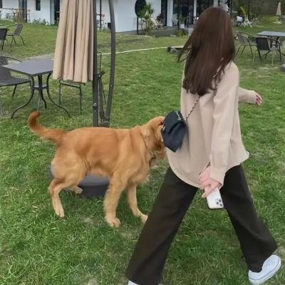 社会中坚